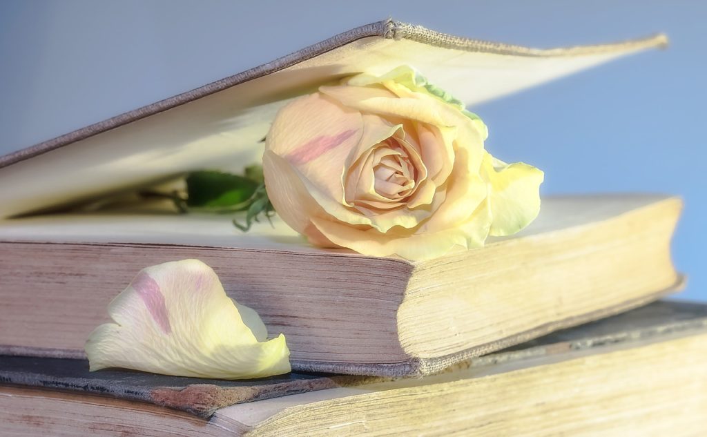 Book with Rose inside Symbolic of a Dedication