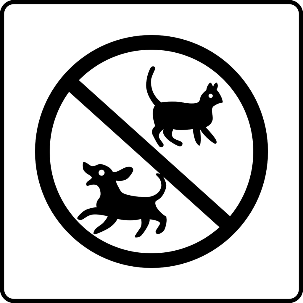 No Cats or Dogs Allowed