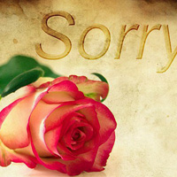 Sorry with a cream and red rose
