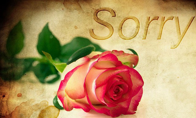 Avoid the need to say Sorry with Rose