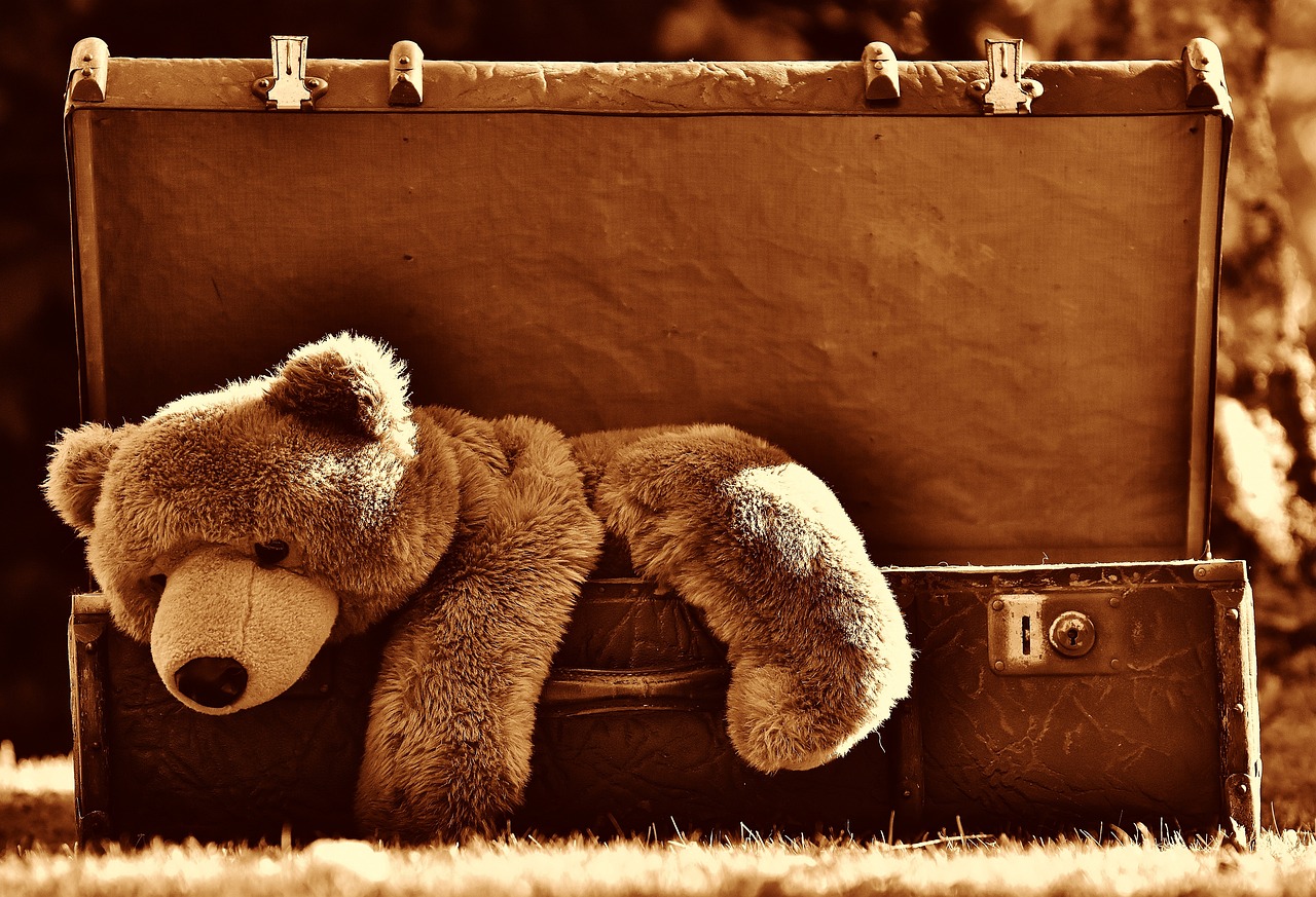 teddy bear hanging out of an old suitacase